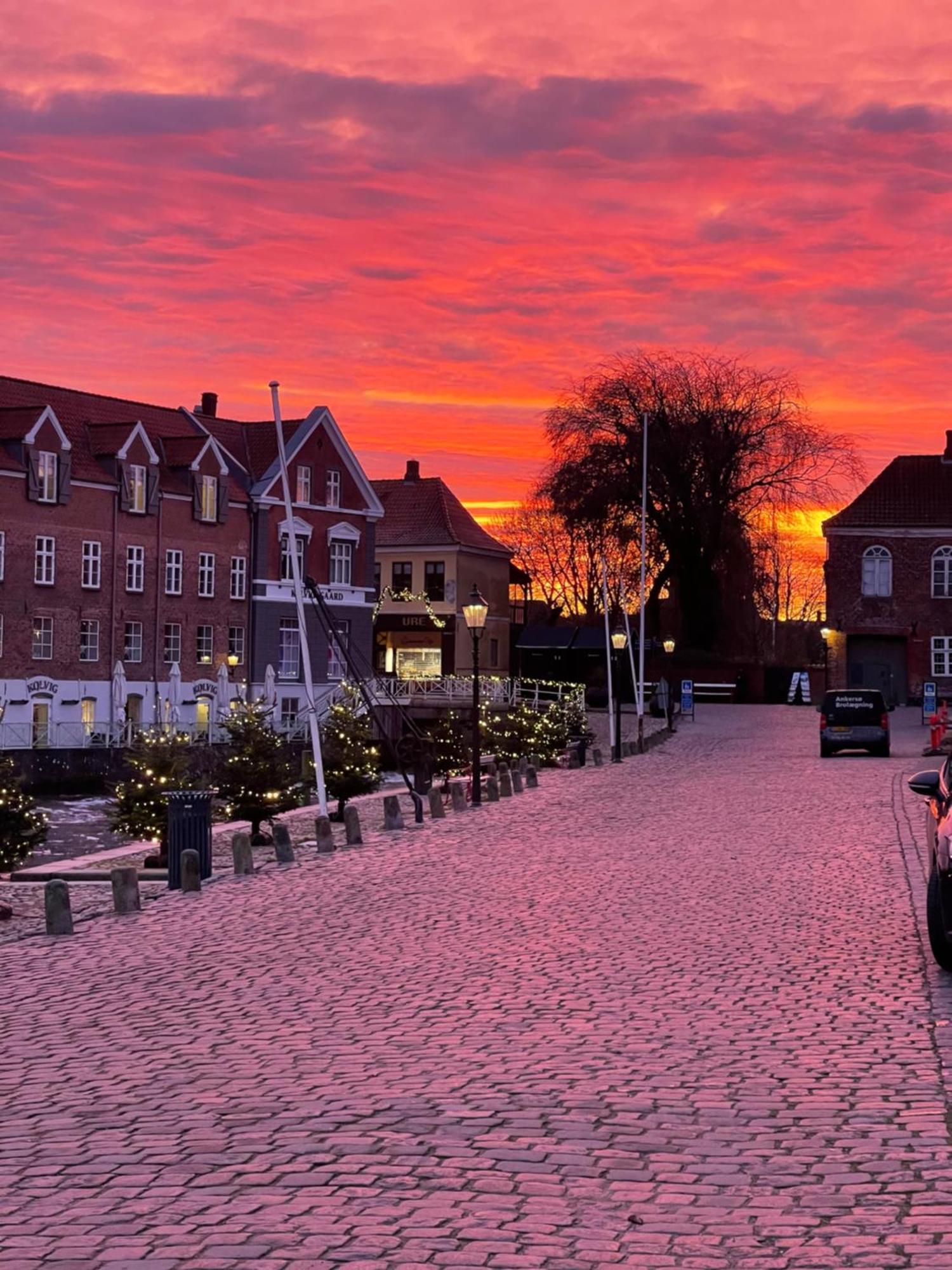 Restaurant Saelhunden Bed & Breakfast Ribe Exterior foto